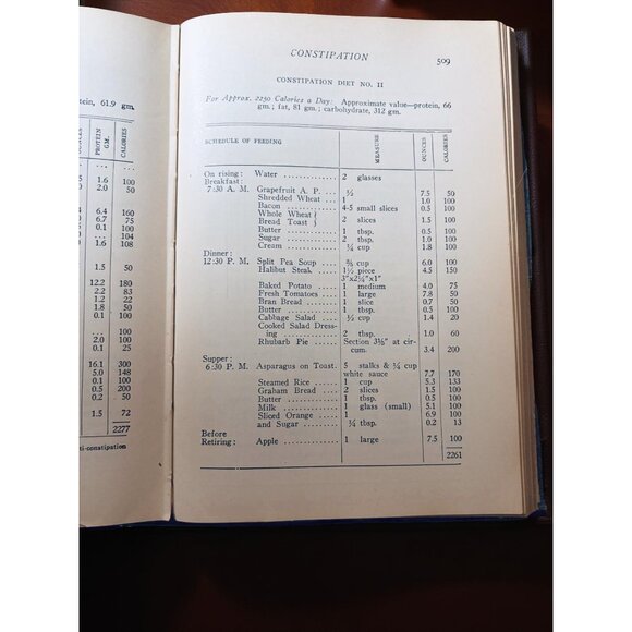 1928 Practical Dietetics – Medical & Nursing Reference on Diet in Health PATTEE - Picture 6 of 7